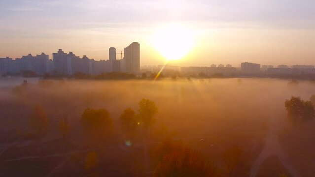 a low fog at sunrise in the city