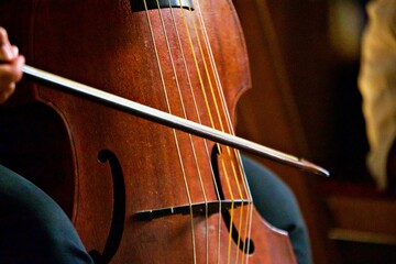 Detailaufnahme Saiteninstrument