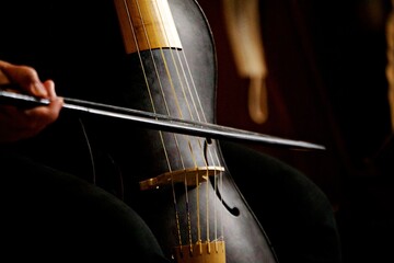 Detailaufnahme Saiteninstrument