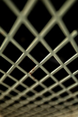 close up of grate
