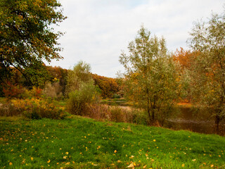Photo of an autumn landscape. Forest, river