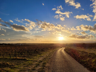 Paysage de vignobles en Languedoc, Occitanie France, beau ciel du soir, paysage d'hiver dans la campagne près de Béziers, horizon, nature, vignes, chemin footing, running , marche dans la nature