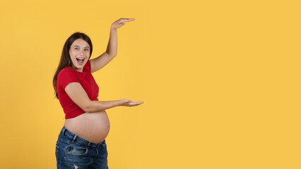 Cheerful Pregnant Woman Holding Invisible Object With Two Hands