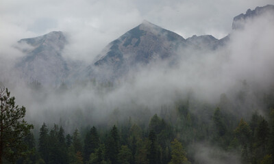 Misty Mountains 01