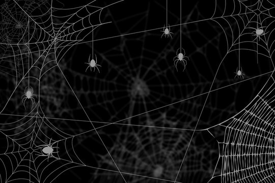 Halloween. Dark background with cobwebs and spiders.