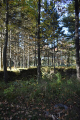 La plaine 5 octobre 2022