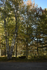 La plaine 5 octobre 2022