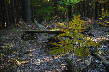 La plaine 5 octobre 2022