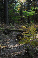 La plaine 5 octobre 2022