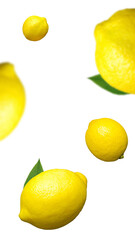 Foto sin fondo de limones cayendo a distintas distancias, para diseño de anuncio de bebidas de limón.   - obrazy, fototapety, plakaty