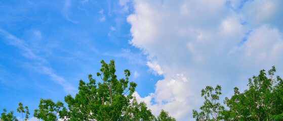 自然豊かな日本の風景