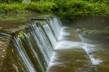 夏の八重谷湧水