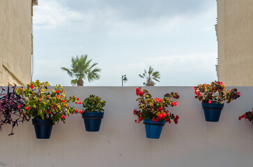 Flower pots decorating typical Andalusian houses in the old town of Estepona, Spain