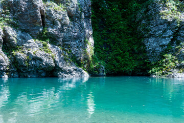 Fototapeta premium 夏の宮川