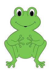 cute cartoon frog with big eyes. front view drawing