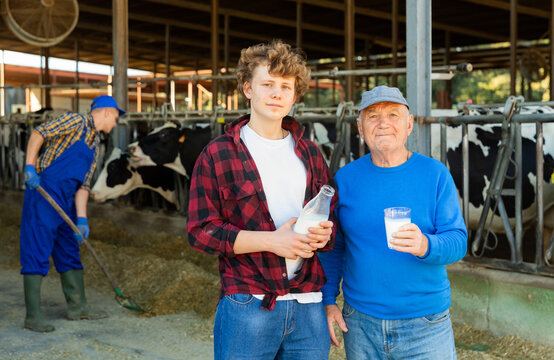Positive elderly dairy farm owner standing with teenage grandson in cowshed, tasting fresh cow milk..