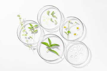 Petri dishes with different plants and cosmetic product on white background, top view