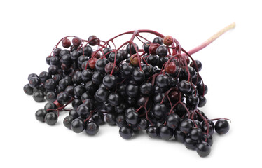 Bunch of ripe elderberries on white background