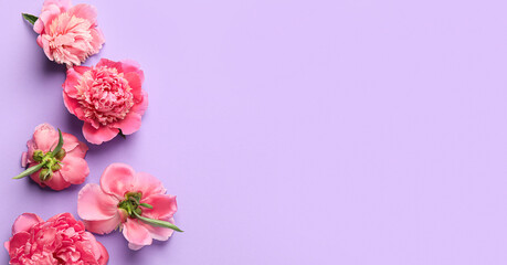 Beautiful peony flowers on lilac background with space for text, top view