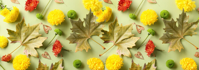 Chrysanthemum flowers, maple leaves and seeds on green background, top view