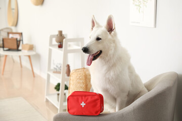 Cute white dog with first aid kit sitting on armchair at home