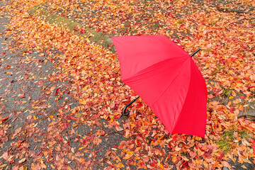 Stylish bright umbrella in park
