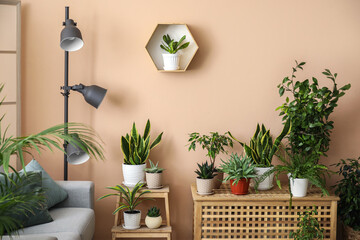 Interior of stylish living room with houseplants, table and stepladder