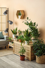 Fototapeta na wymiar Interior of stylish living room with houseplants, table and stepladder