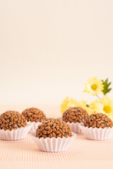 Brigadeiros, tradicional Brazilian sweet, vertical banner