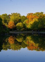 05.10.2022 Montreal, Quebec, Canada. City view Montreal. Autumn in La Fontain Park. Canada travel. 