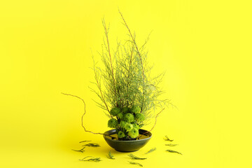 Bowl with beautiful ikebana on yellow background