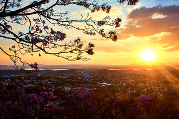 Naklejka premium beautiful sunset, sun behind of mountains with branch of tree in first plane and city in the foreground with a lake, san miguel de allende guanajuato