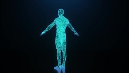 human body 3d rendered