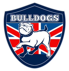 illustration of a Proud English bulldog marching with Great Britain or British flag in background set inside a shield with words "bulldogs" suitable for any sports team mascot