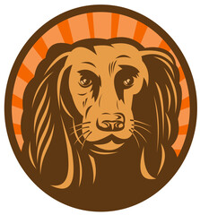 illustration of a Cocker spaniel head front view with sunburst in background set inside an oval