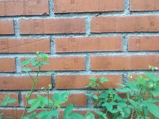 red brick wall out side of a house