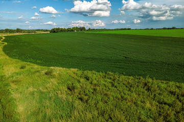 Tranquil scene overlooking summertime farm fields