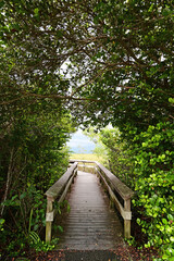 Entrance to Pa-Hay-Okee boardwalk over sawgrass prairie in Everglades National Park, Florida on stormy overcast day.