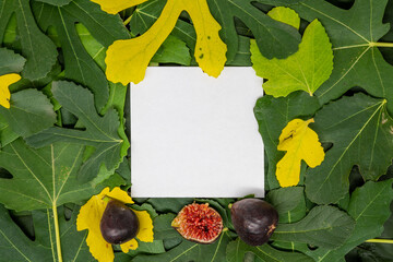 Creative layout made of fig leaves and fresh fruit in autumn and paper card. Flat lay. Autumn nature leaves concept.	