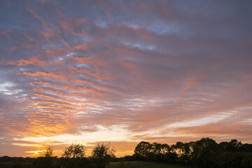 Fototapeta na wymiar Stunning colorful sunset, blue sky, yellow purple cirrus clouds.