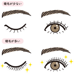 まつ毛の量のイラスト