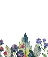 Floral web banner with blackberries and raspberries. Summer greenery border. Hand Drawn watercolor forest berries.