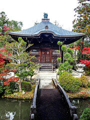 Decorative of the Japanese Style garden in Autumn season change leaf in Japan