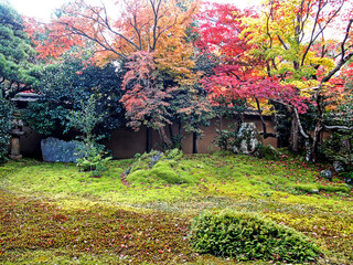 Decorative of the Japanese Style garden in Autumn season change leaf in Japan
