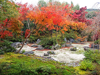 Naklejka premium Decorative of the Japanese Style garden in Autumn season change leaf in Japan