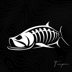 Fish skeleton, Unique and Fresh Skeleton of Tarpon Fish. Great to use as your fishing activity. 