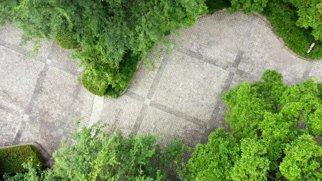 aerial view of road in public park