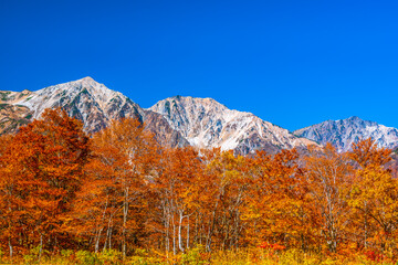 紅葉と白馬三山