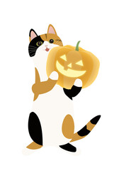 ハロウィーンのカボチャのランタンを持つミケ猫　背景透明