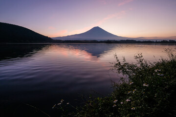静岡県富士宮市田貫湖と早朝の雄大な富士山